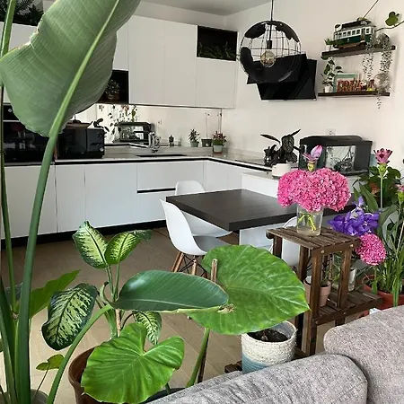홈스테이 Mowgli House - Luxury Private 밀라노